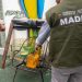 Decomisan aves silvestres ofrecidas para la venta en pleno centro de Luque