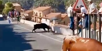 Mujer de 64 años murió corneada por un toro durante un evento en España