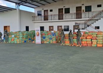 Más de 40 toneladas de marihuana fueron incautadas en un operativo en Paso Bravo