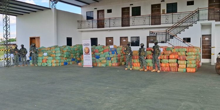 Más de 40 toneladas de marihuana fueron incautadas en un operativo en Paso Bravo