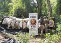 240,9 toneladas de cannabis fuera de circulación