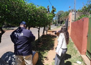 Investigan tala de palmeras donde anidaban guacamayos en Fernando de la Mora