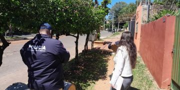 Investigan tala de palmeras donde anidaban guacamayos en Fernando de la Mora