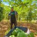 Joven productor de Vy’arenda apuesta por el cultivo de mamón y busca conquistar nuevos mercados