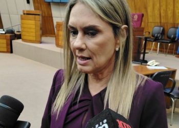 Diputada dice que se ha «desvirtuado totalmente» la ley de emergencia del IPS