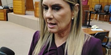 Diputada dice que se ha «desvirtuado totalmente» la ley de emergencia del IPS