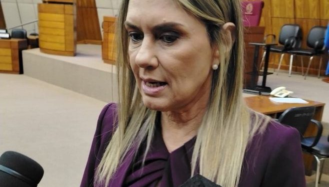 Diputada dice que se ha «desvirtuado totalmente» la ley de emergencia del IPS