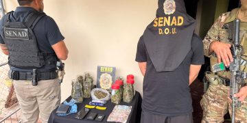 Detuvieron a «Capullo», distribuidor de marihuana premium en Fernando de la Mora