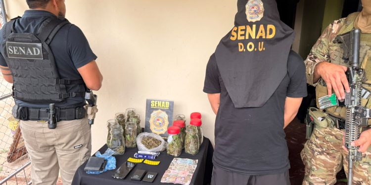 Detuvieron a «Capullo», distribuidor de marihuana premium en Fernando de la Mora