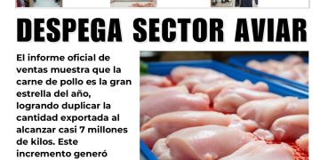 2 Septiembre 2026