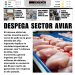 2 Septiembre 2026