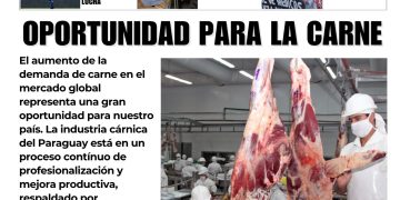 8 Septiembre 2026