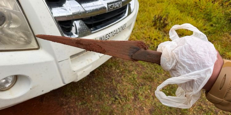 La Policía detiene a un hombre de 60 años con antecedentes por el homicidio de un adolescente