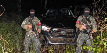 Hallan importante carga de marihuana enterrada en Concepción