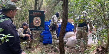 Agentes de la SENAD desarticulan punto de acopio de drogas en Canindeyú