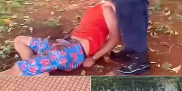 Yacarés frustran fuga de presunto ladrón en Ciudad del Este