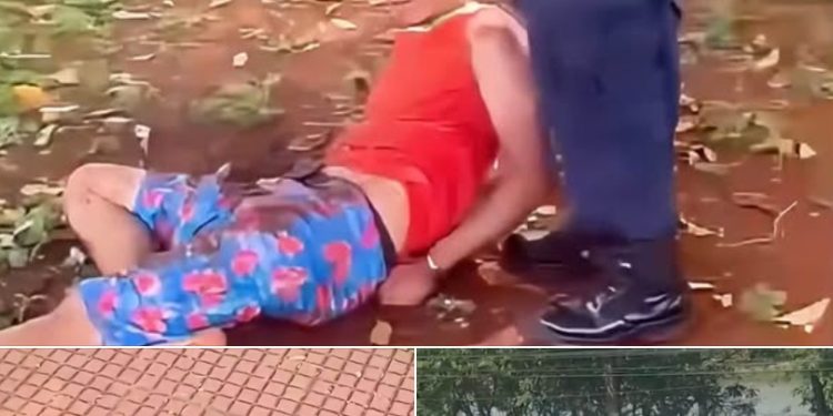 Yacarés frustran fuga de presunto ladrón en Ciudad del Este
