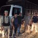 Dos aprehendidos y 13 vacunos recuperados en un procedimiento en Bahía Negra