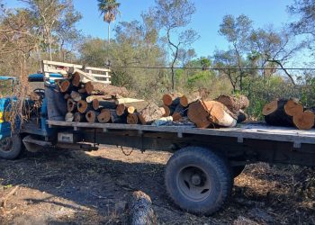 Cayeron con armas, motosierras y un camión cargado de madera en Presidente Hayes