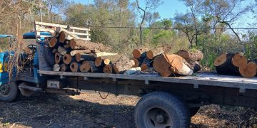 Cayeron con armas, motosierras y un camión cargado de madera en Presidente Hayes
