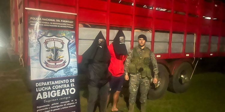 Transportaban 48 cerdos sin documentos sanitarios y terminaron aprehendidos