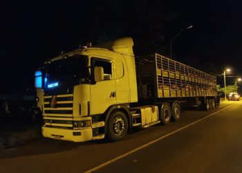 Incautan camión con cerdos ante sospechas de contrabando