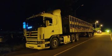 Incautan camión con cerdos ante sospechas de contrabando