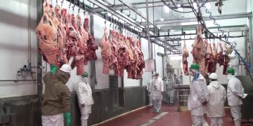 Turquía habilita a ocho frigoríficos paraguayos para exportación de carne bovina deshuesada