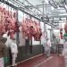 Turquía habilita a ocho frigoríficos paraguayos para exportación de carne bovina deshuesada