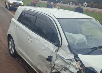 Chocan al frenar para rescatar a un perro en Yguazú
