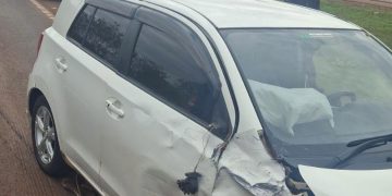 Chocan al frenar para rescatar a un perro en Yguazú
