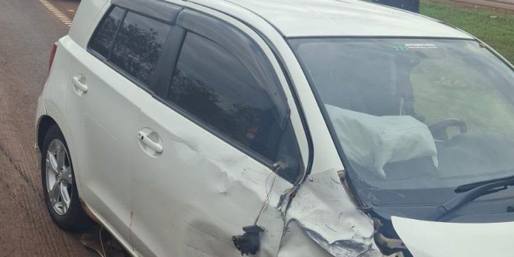 Chocan al frenar para rescatar a un perro en Yguazú