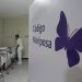 Dan media sanción al «Código Mariposa» para pérdidas gestacionales, pero eliminan permisos laborales