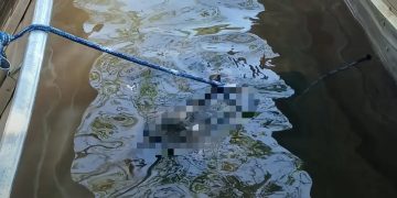 Encuentran sin vida a adolescente que era buscado en aguas del río Karapá