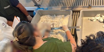 Decomisaron 44 huevos de fauna silvestre y detuvieron a dos personas