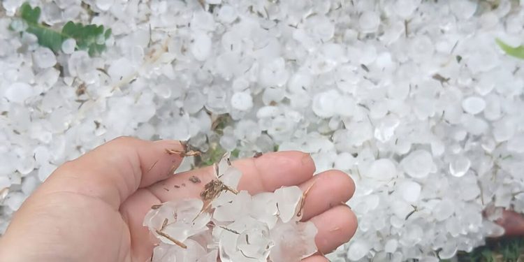 Concepción: temporal causa daños en comunidad rural de Belén