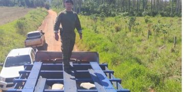Incautaron camión con vacunos sin marca y detectaron inconsistencias en documentación