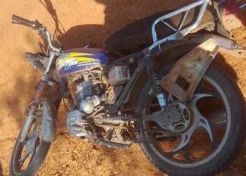 Adolescente murió tras chocar con un perro en un camino de Concepción
