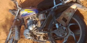 Adolescente murió tras chocar con un perro en un camino de Concepción