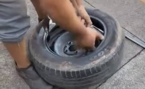 Hallaron unas 40 ampollas para adelgazar dentro de la rueda de auxilio