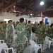 Justicia militar procesa y ordena prisión para subteniente acusado de violencia