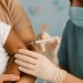 De 6 a 60 años: Salud amplió acceso a la vacuna contra el dengue