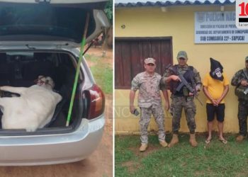 Yby Yaú: detienen a un hombre tras hallar un torito en su automóvil
