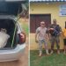 Yby Yaú: detienen a un hombre tras hallar un torito en su automóvil