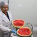 Paraguay concreta la primera exportación de sandías a Uruguay