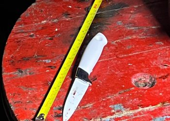 Una adolescente habría matado a un hombre al intentar defender su madre