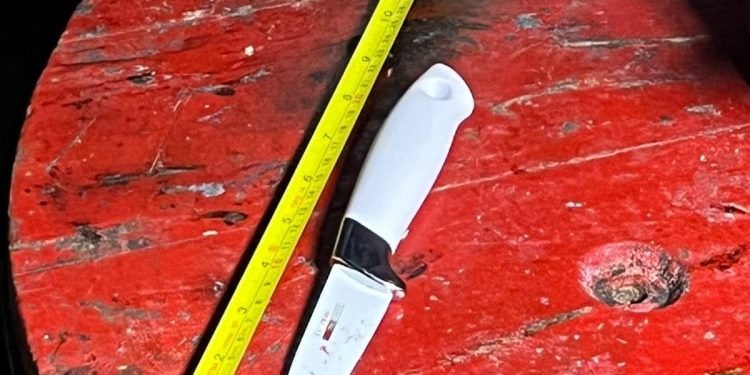 Una adolescente habría matado a un hombre al intentar defender su madre