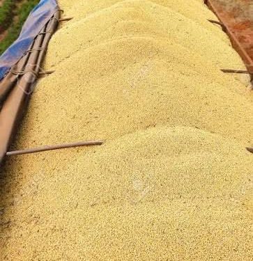 Condenaron a camionero por robar 33.400 kilos de soja y deberá devolver la carga