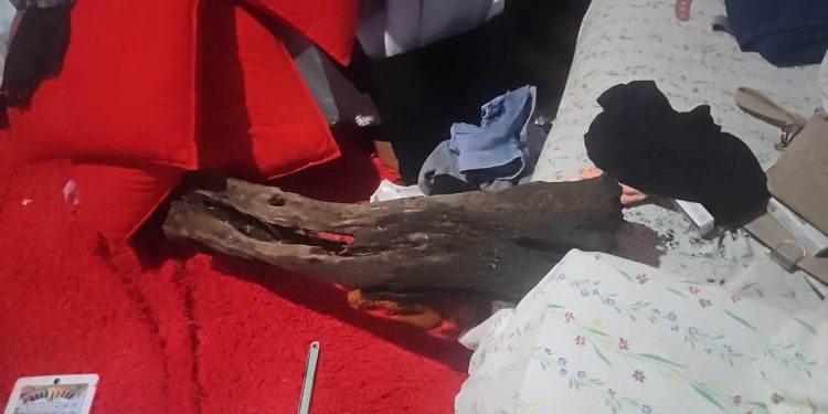Asaltantes encapuchados roban dinero, celular y carne de una vivienda en Coronel Bogado