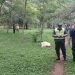 Asesinan a puñaladas a un joven en Capiatá